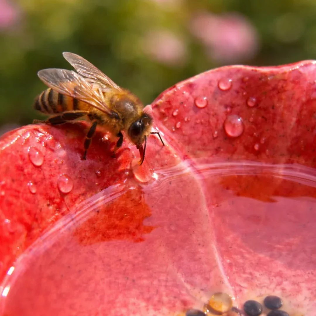 Handgemaakte Bijenbloesems – Weerbestendige Keramische Drinkbakjes voor Bijen, Set van 4