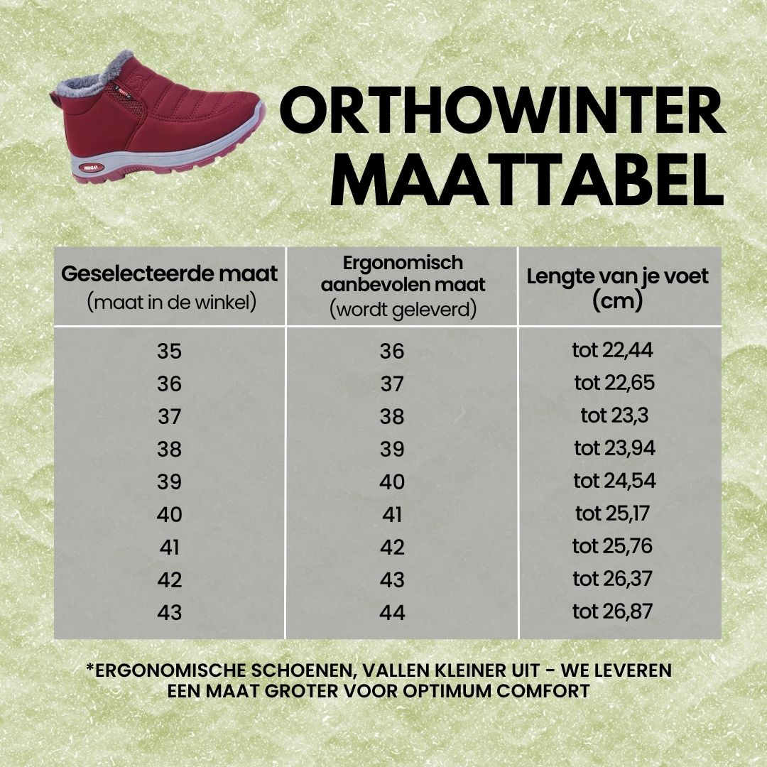 OrthoWinter
