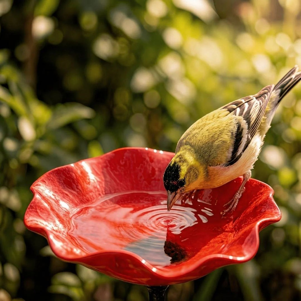 Vogelbloemen – Handgemaakte vogeldrinkbak in bloemvorm | Set van 2