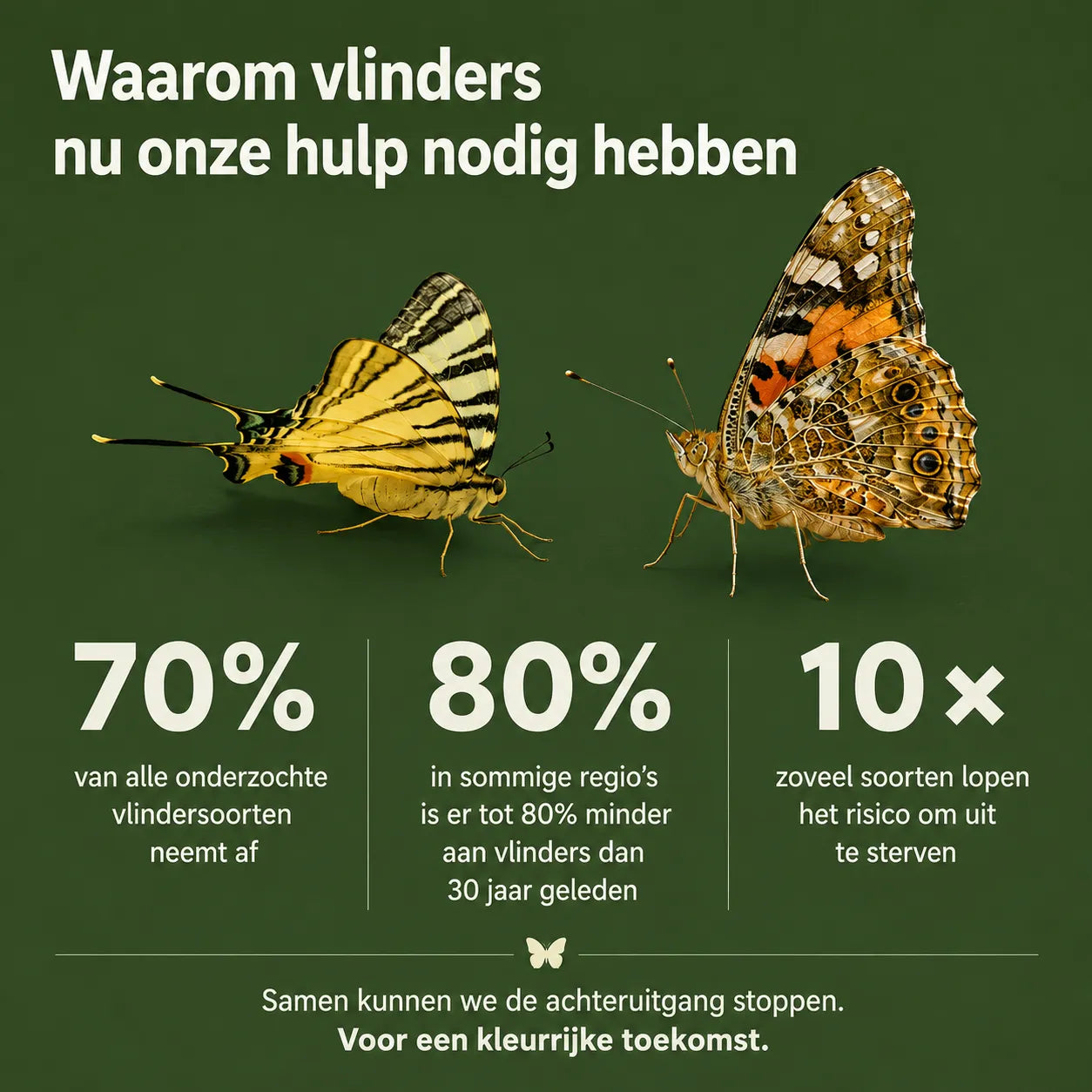 Handgemaakt druppelvormig vlinderhuis van natuurlijk hout vervaardigd